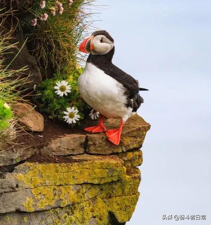 浙江宁波做什么的工厂多,宁波工厂打工的真实现状