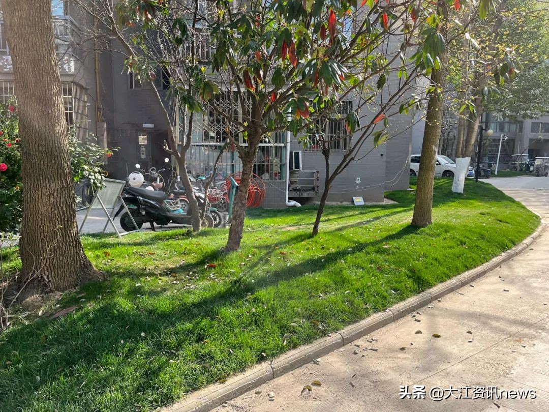 物业被整治视频,曝光五个物业最差的小区