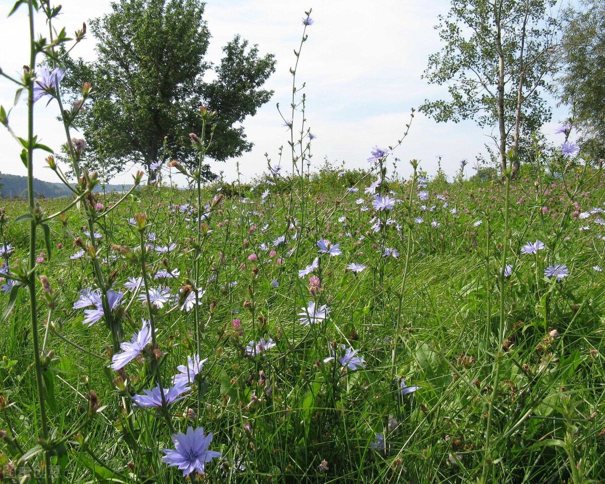 半生已过在余生里请不要辜负自己,半生已过后半生请善待自己