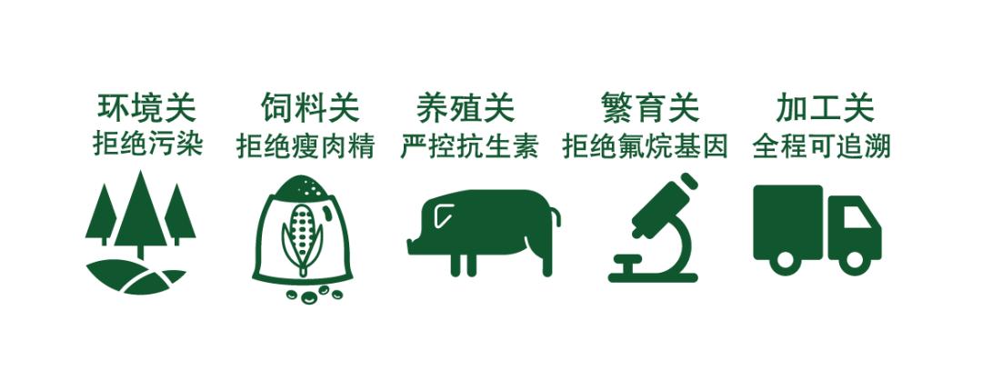 卡塔尔世界杯伙食,卡塔尔球场自助餐