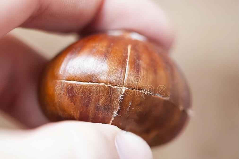 煮板栗，用冷水还是开水？学会2个窍门，香甜绵软，好剥壳不粘皮
