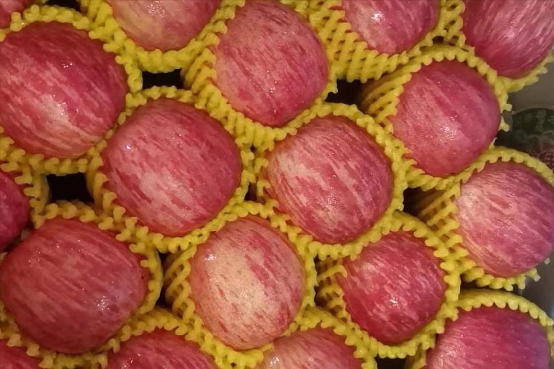 中秋节前后有没有应季苹果,中秋节前成熟的苹果品种有哪些