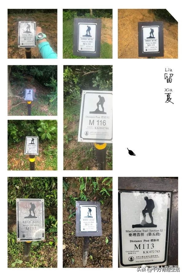 香港徒步麦理浩径全程攻略介绍,香港狮子山徒步攻略