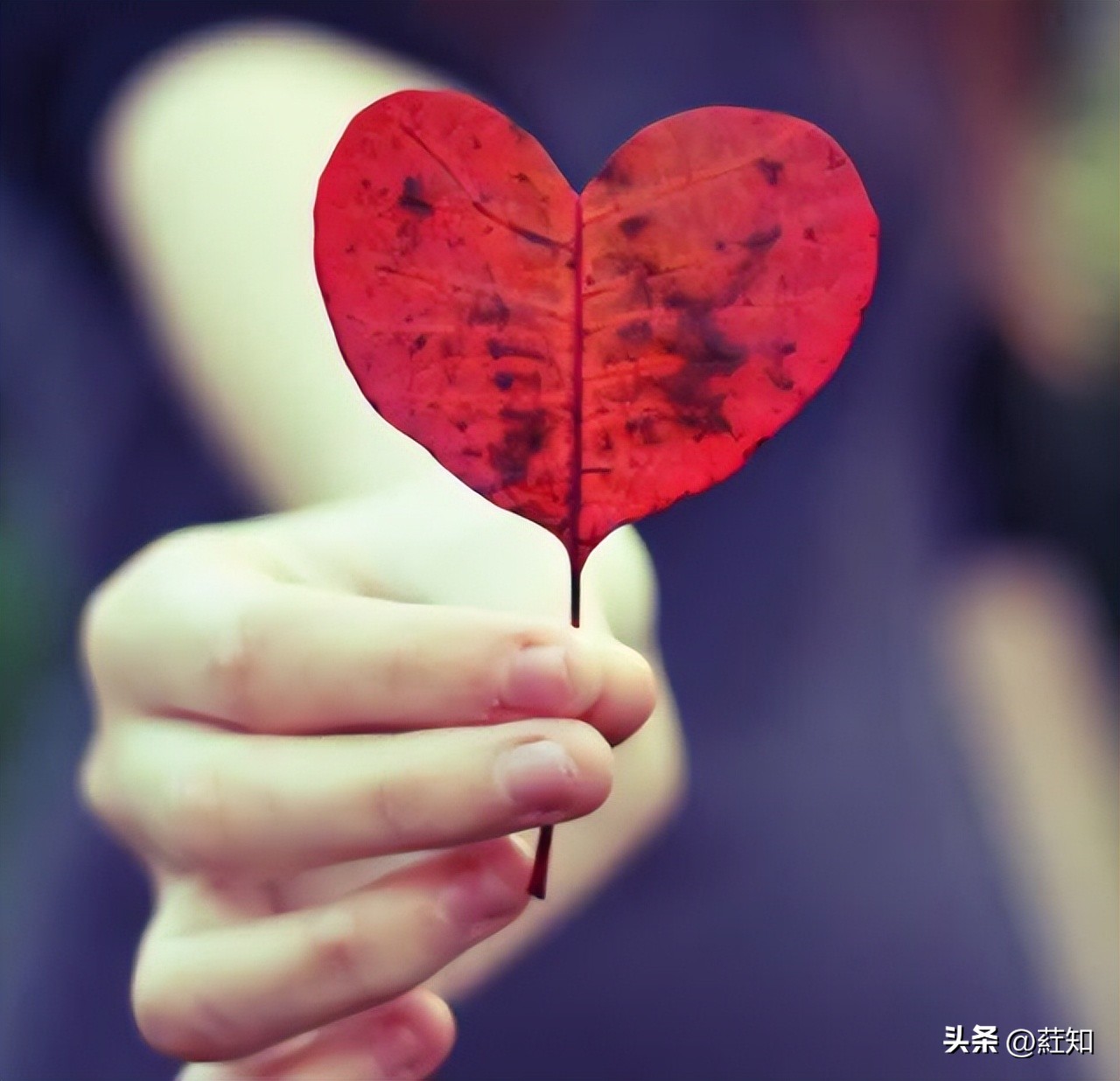 第一次穿皮鞋推荐款式,第一次穿正式皮鞋图片