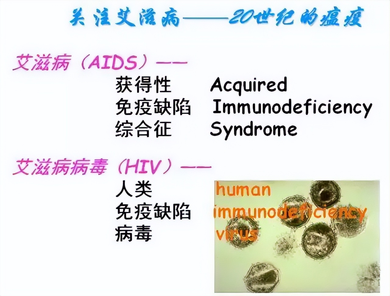 生物高中知识点免疫调节,高中生物免疫调节精讲视频