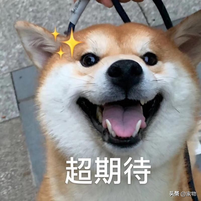 变频空调一个小时要多少电,变频空调一般要一天要多少电