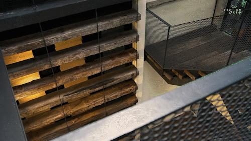 瀹ゅ唴缁挎鏅瑙嗛,瀹ゅ唴鍦伴潰缁挎鏅