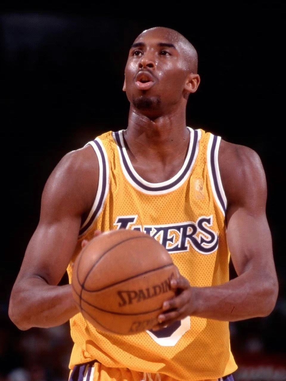 王威廉教授,王威廉和neinei