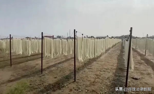 315晚会曝光的企业最后会怎样,315晚会哪些车被点名