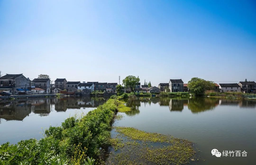 阳澄湖大闸蟹蒸多久,阳澄湖大闸蟹