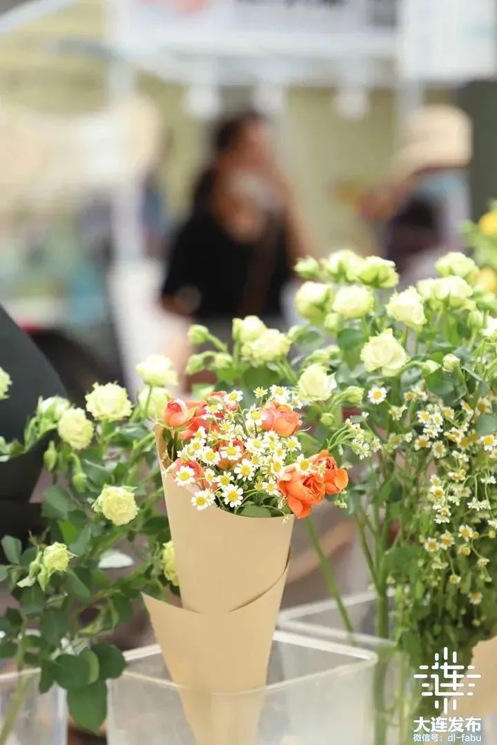大连槐花香景点,大连槐花季美景