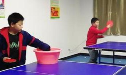 乒乓球初学者推荐用什么拍子,初学乒乓球选几星球拍