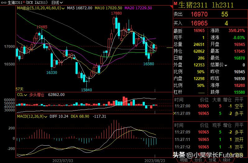 生猪期货最新行情在哪里看盘,生猪2205期货最新行情