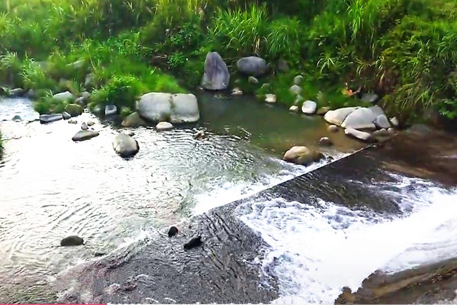 外地老板投资100万建拦河坝每年可赚80万，为何关闭？