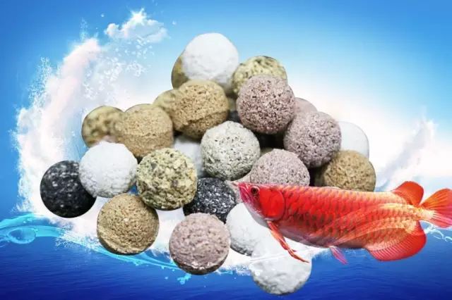 滤材的选择与摆放详解,滤材多久才能养好