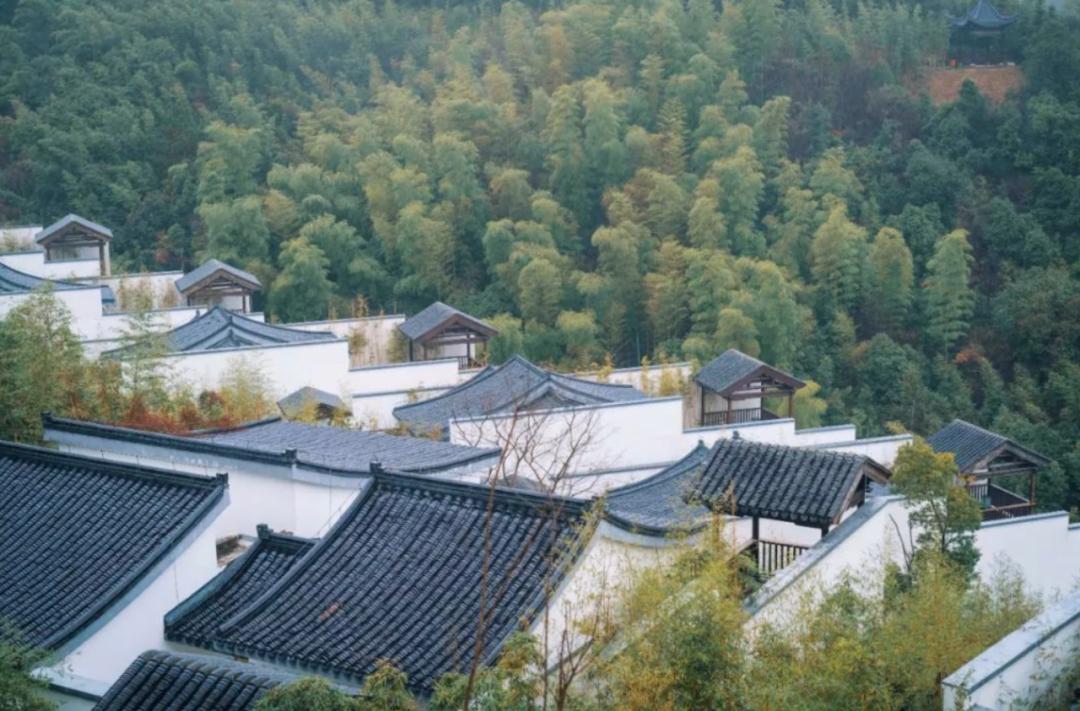 火热的周边游喂饱了本地生活,划算的周边游