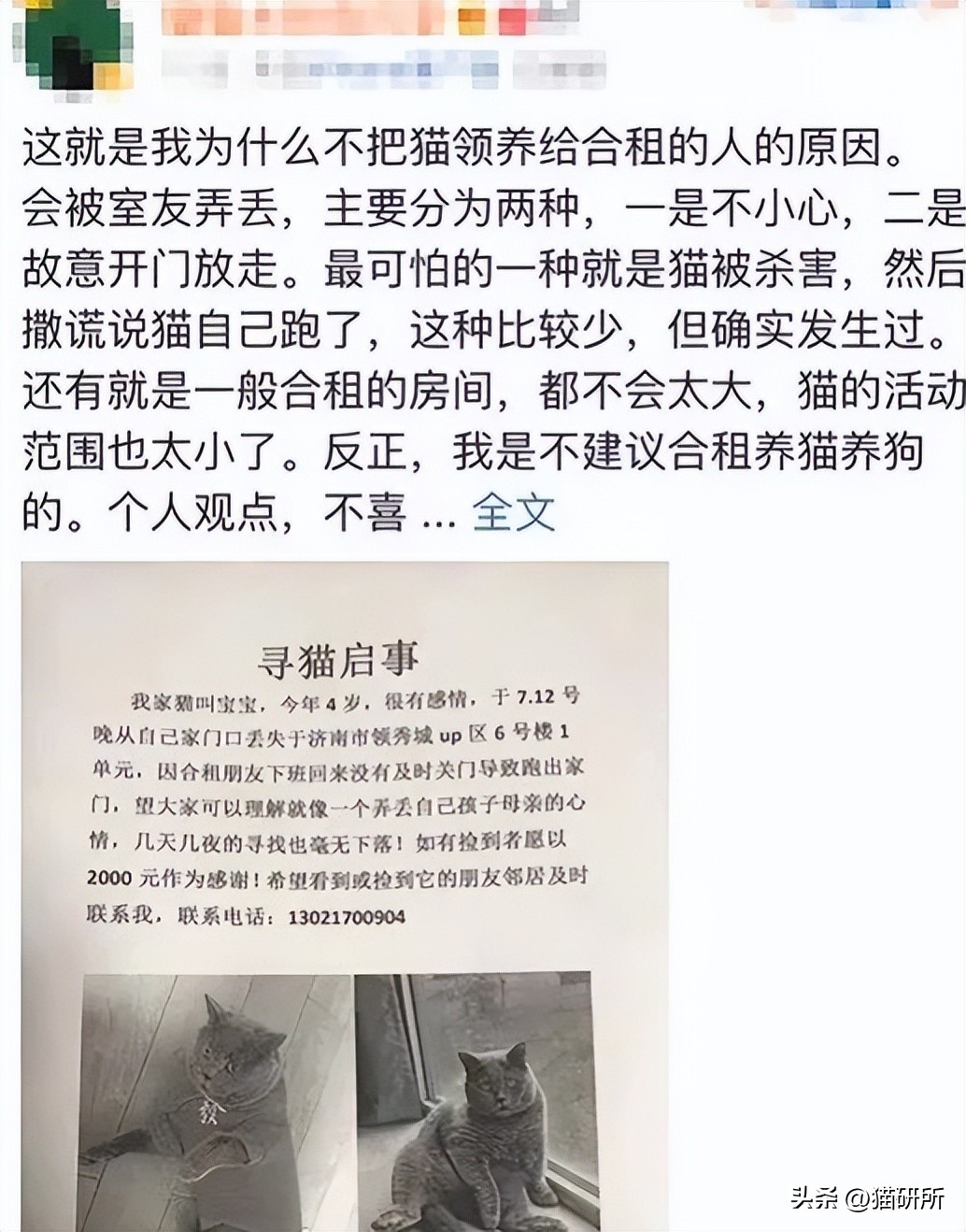 合租室友养猫哪里都是猫毛,合租养猫怎么让猫不吵到别人