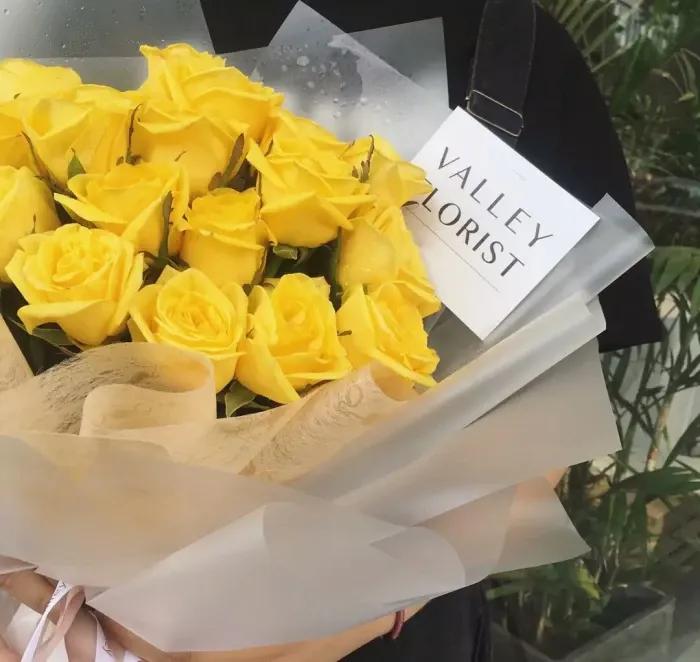 不同颜色的玫瑰花寓意送男生,各种颜色的玫瑰花代表的意思