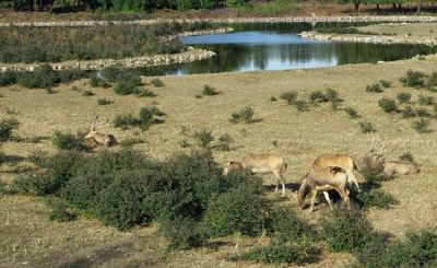 北京大兴室内景点,北京大兴自然景观