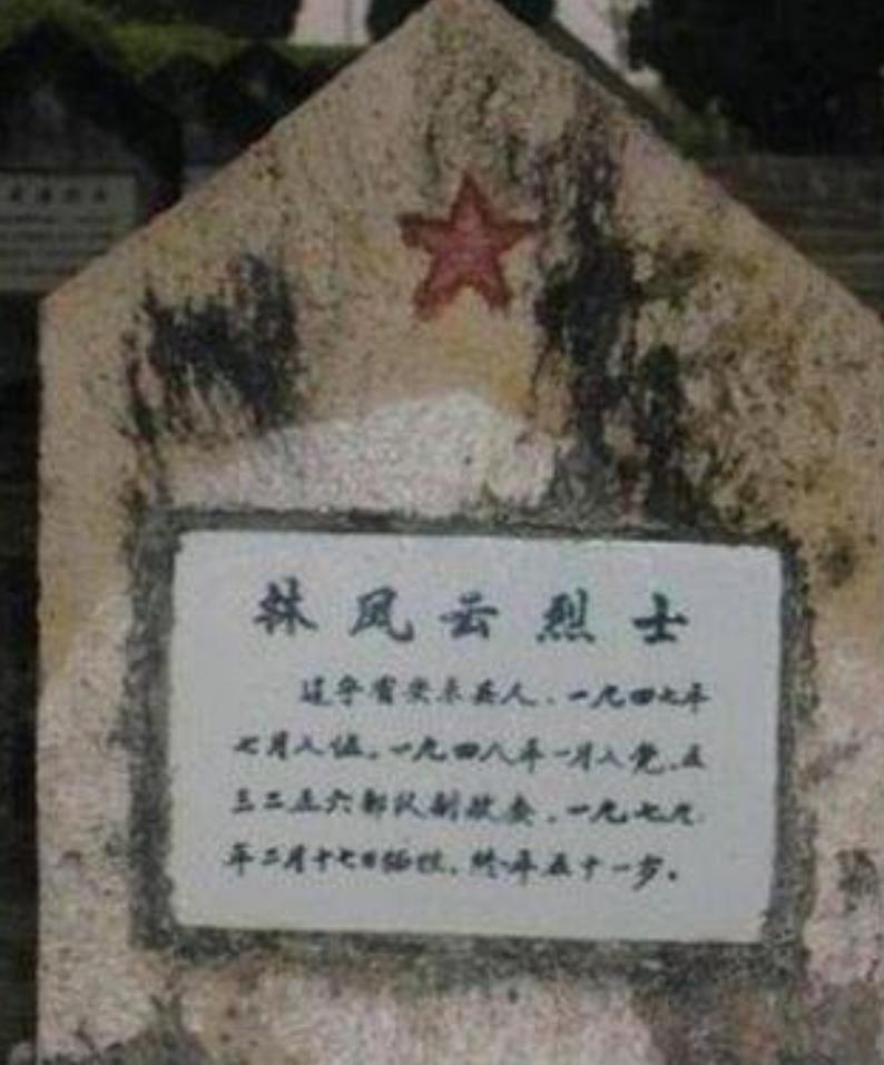 对越反击战东西两线进攻线路图,对越反击战精彩片段