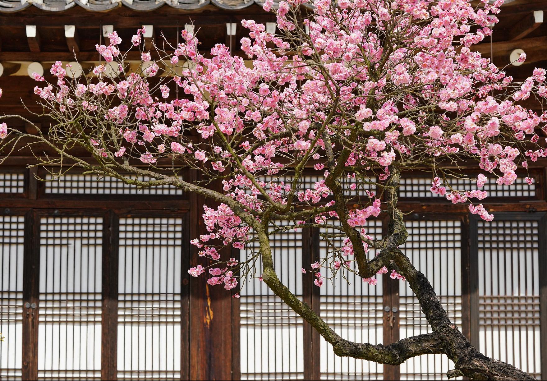 关于春天的100首经典诗词,十首诗词最懂春天的美