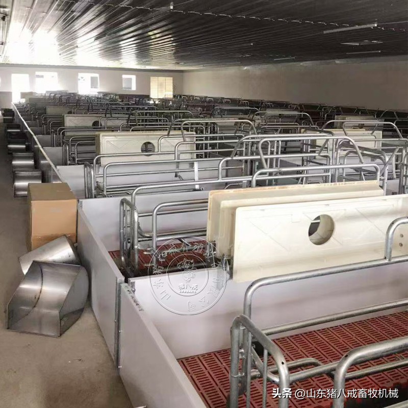 怎么样的母猪产床好及价格,母猪产床的详细尺寸和图片