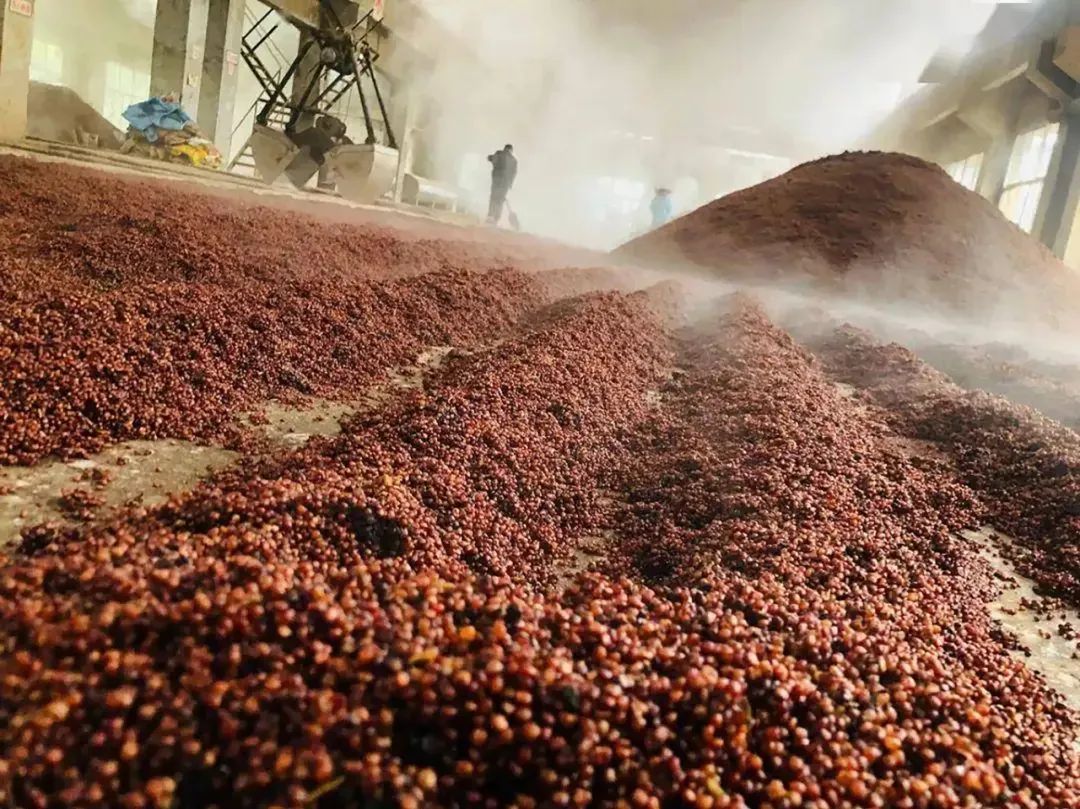 川酒浓酱双优怎么样,浓酱双优酒类