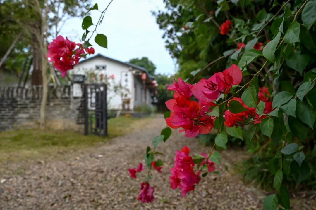六一童真之旅,欢乐过六一儿童创意作品