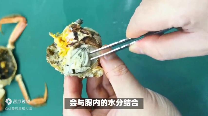 螃蟹常识大全及图片,生活小妙招螃蟹处理方法