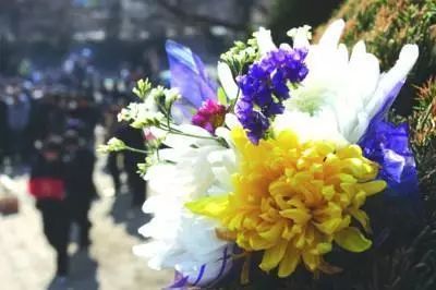【一束鲜花祭故人】清明送花攻略-爱勤全球购-集团