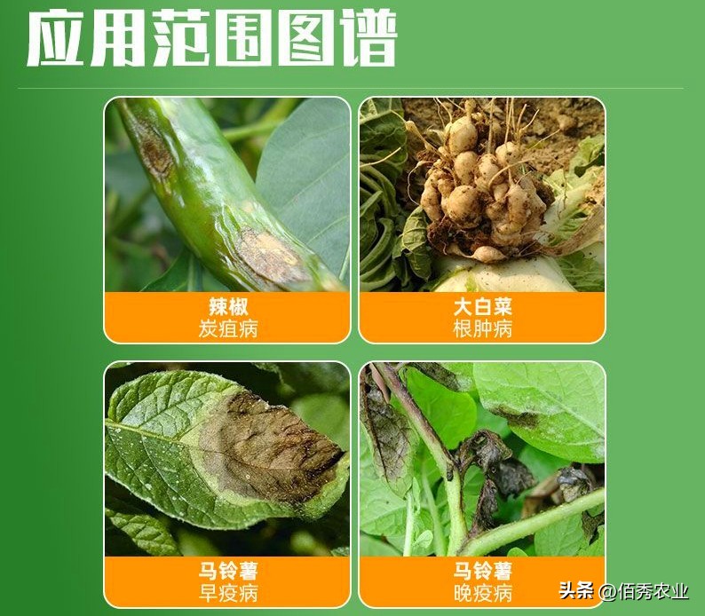 能治虫又能杀螨老牌杀虫剂,强力杀菌除螨用什么药