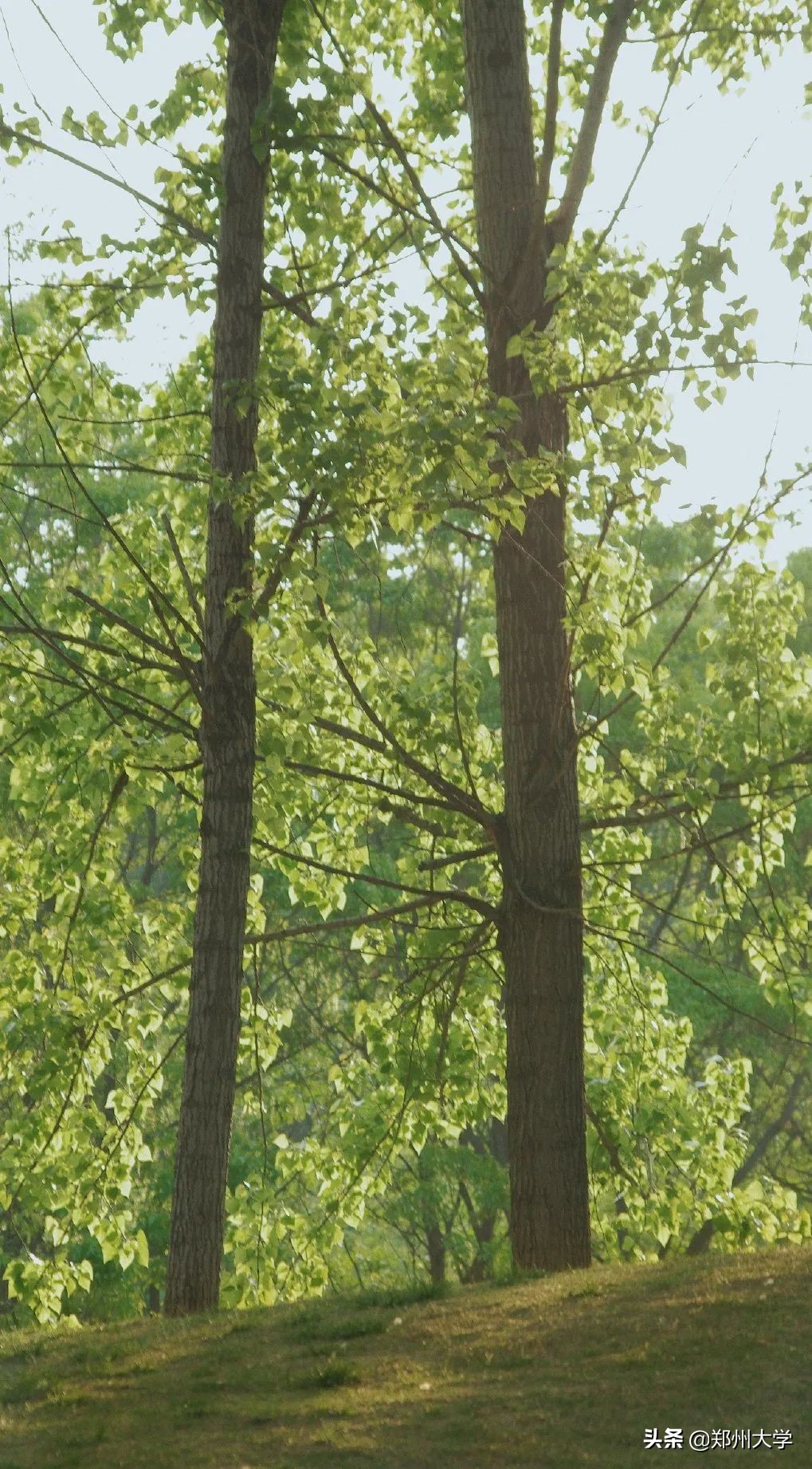 选择大学看哪些因素,选择大学优势专业的好处