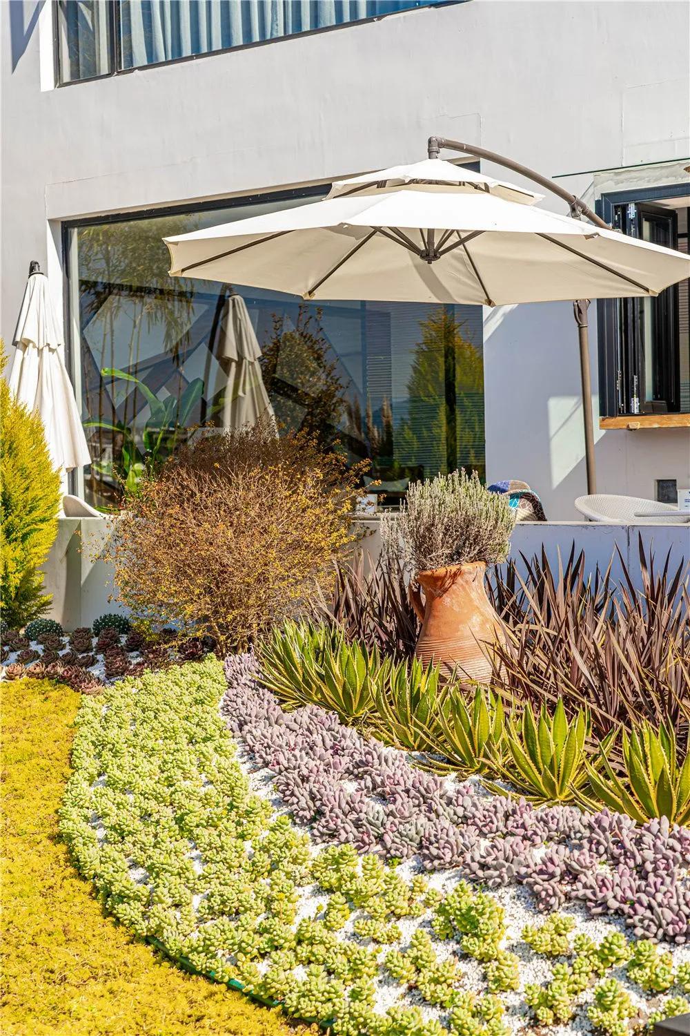 带你去双廊,住在浪漫的双廊洱海边看风景