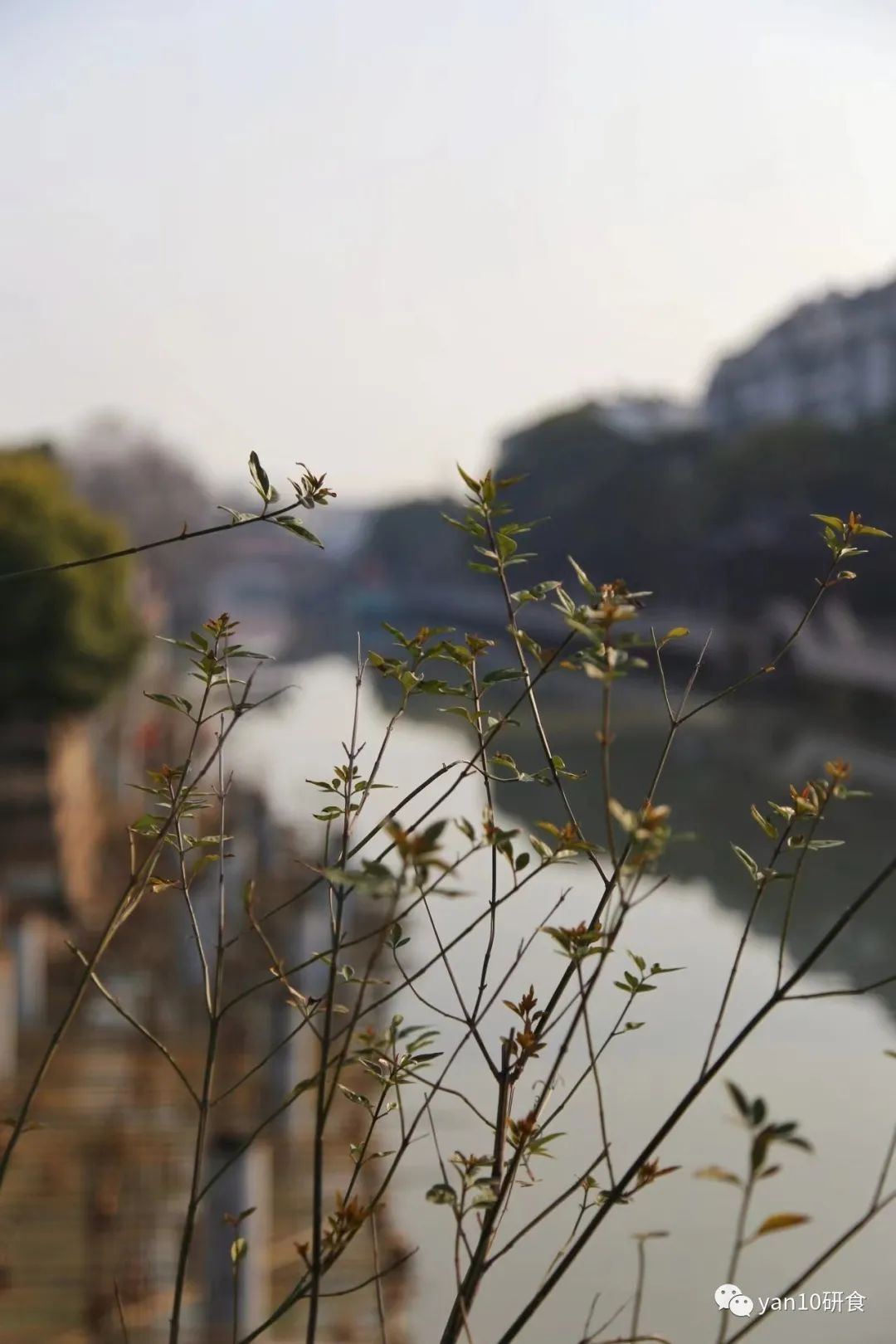 逛海宁皮革城每座都是卖啥的,海宁皮革城如今还值得逛吗