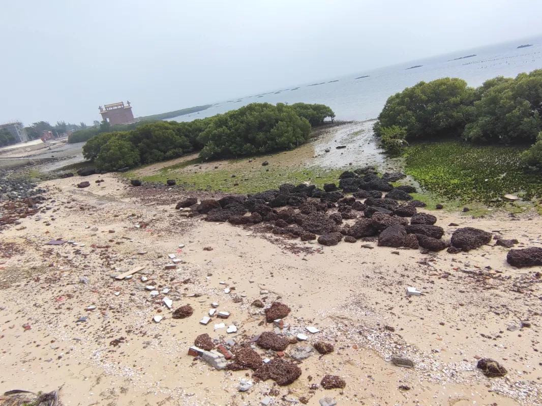 寒假社会实践寻访,寒假社会实践志愿活动内容