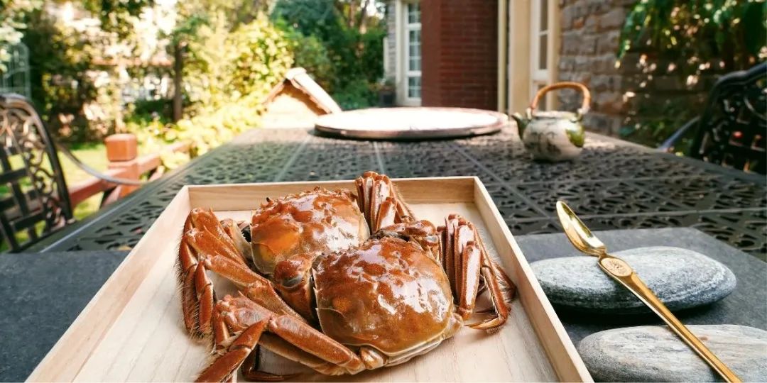 大闸蟹带你领略各种美味,大闸蟹吃出文化韵味