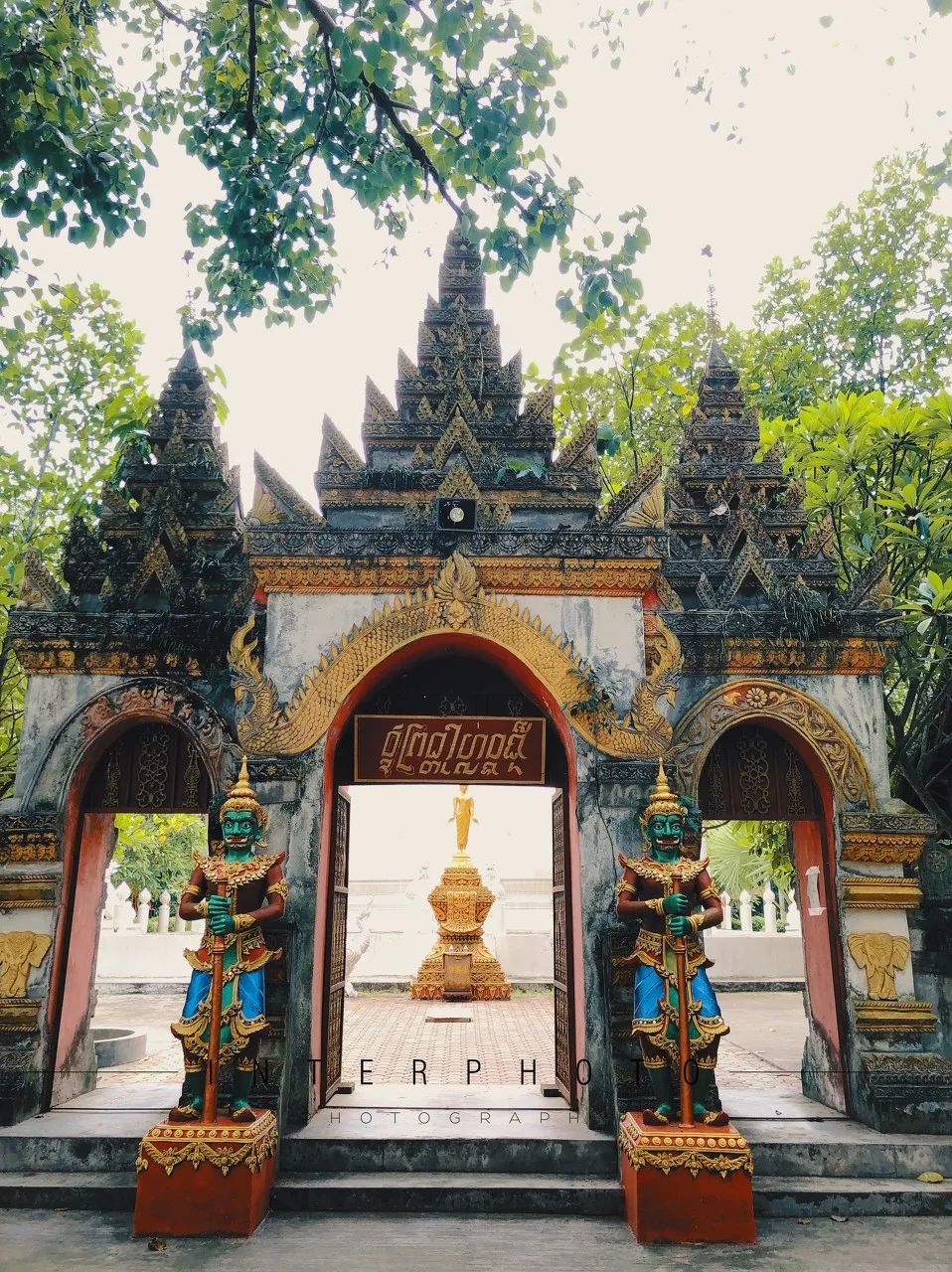 西双版纳体验雨林,吃遍热带水果西双版纳