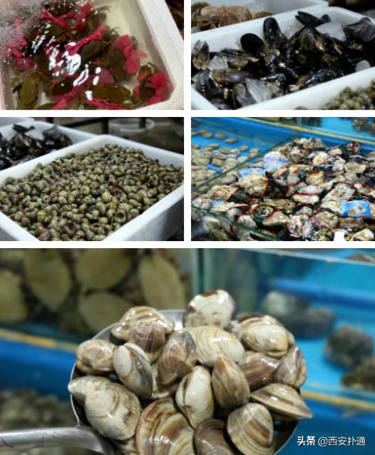 西安曲江哪里有大型批发菜市场,深夜西安十大农贸菜市场