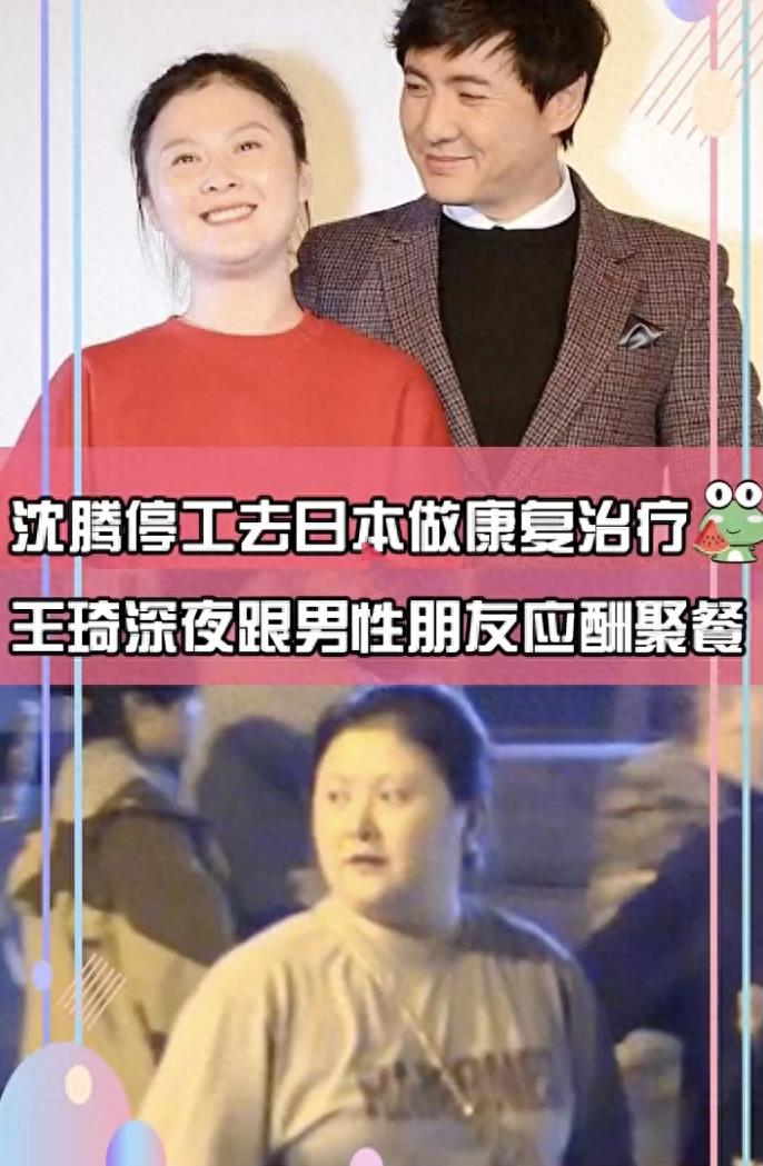 曝沈腾停工赴日本做康复,沈腾赴日本做康复治疗事件