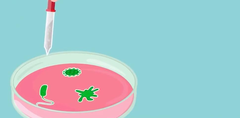 盘点十种神奇动物的价格,盘点五种有巨毒的生物