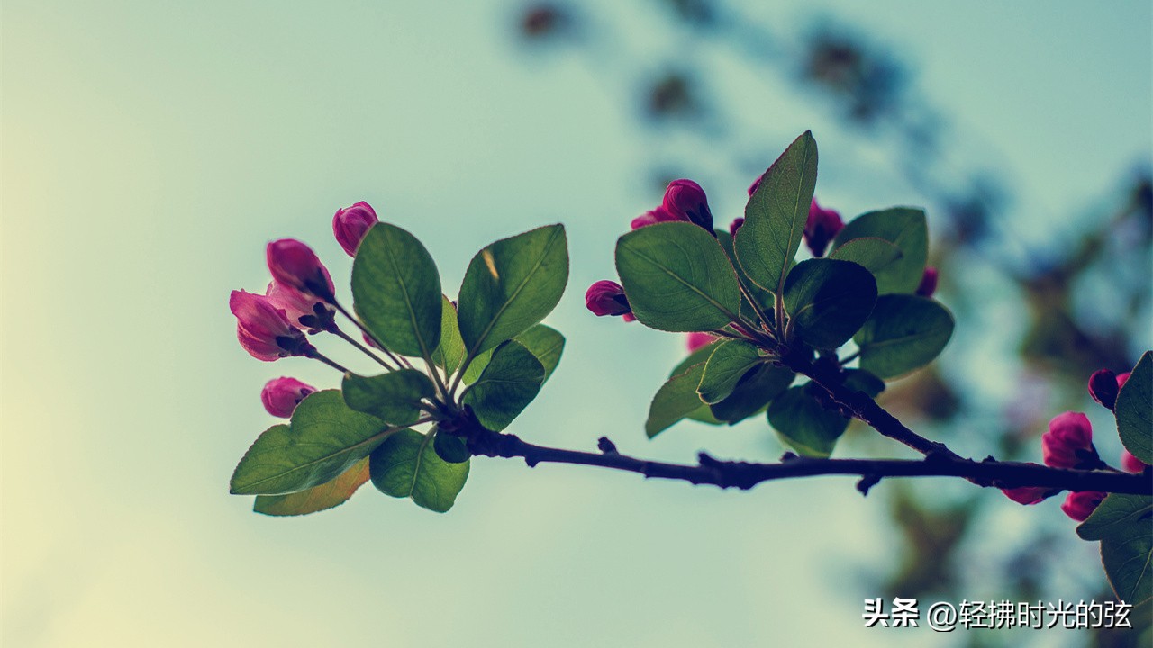 中国史上最美36首诗词,中国最美诗词十首