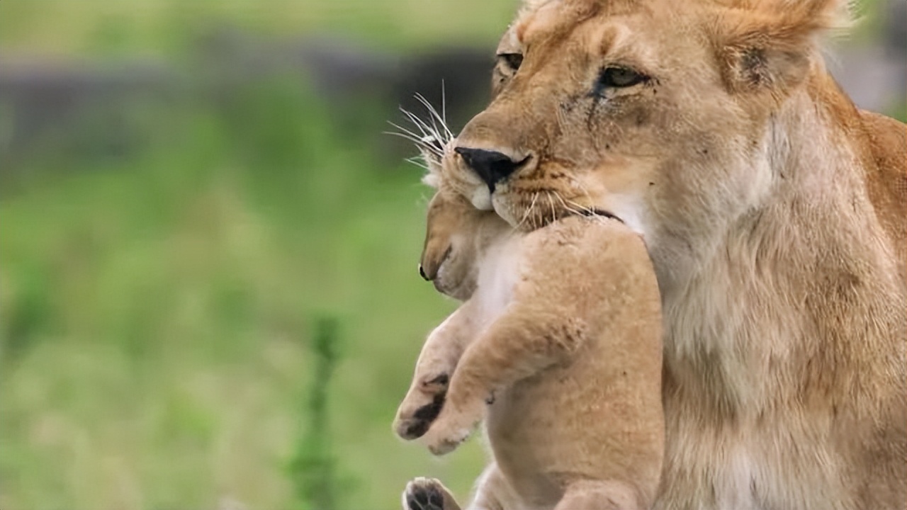 做生意的几点忠告和秘诀,做生意要做成项目研究