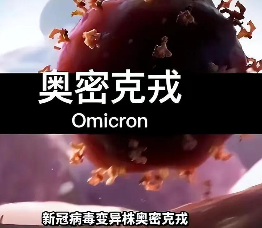 放开二胎政策是哪一年,放开那军师