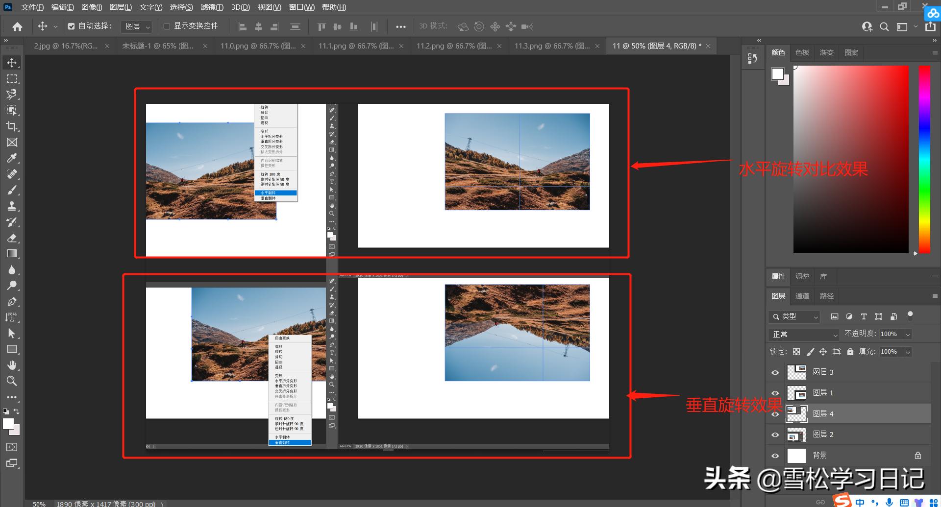 ps基础自由变换教程,ps自由变换的设置和使用方法