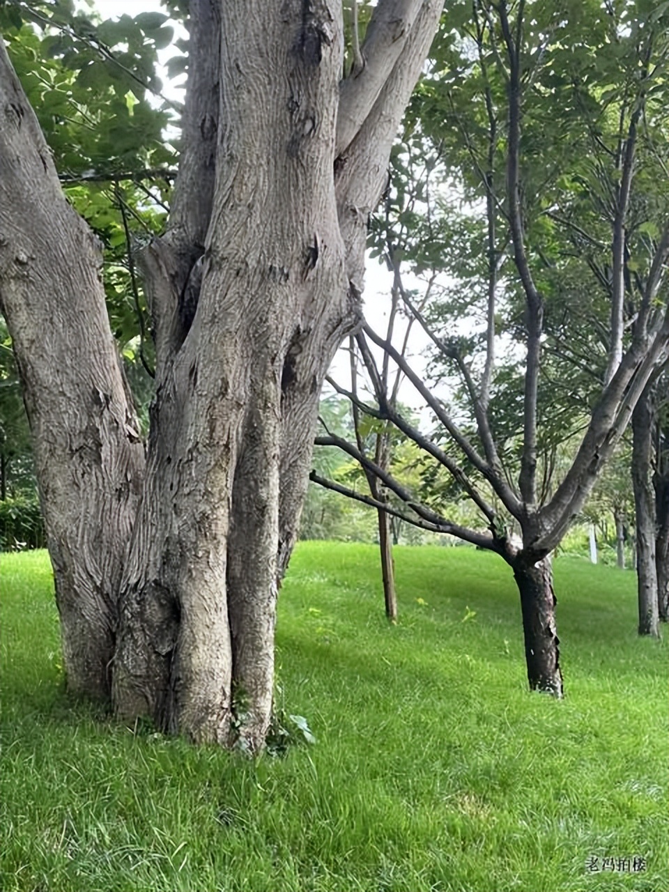 美宝莲,美爆了哟