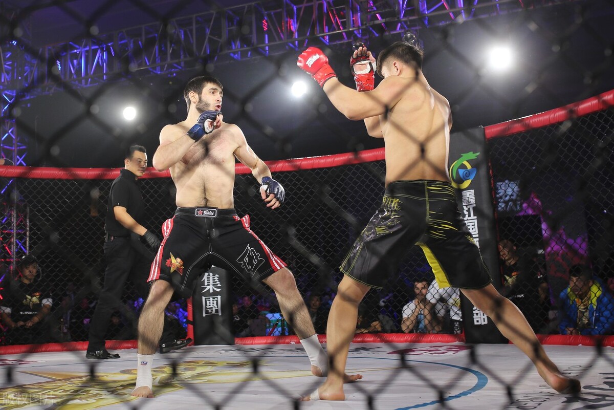 中国武术门派十大排名,中国武术流派