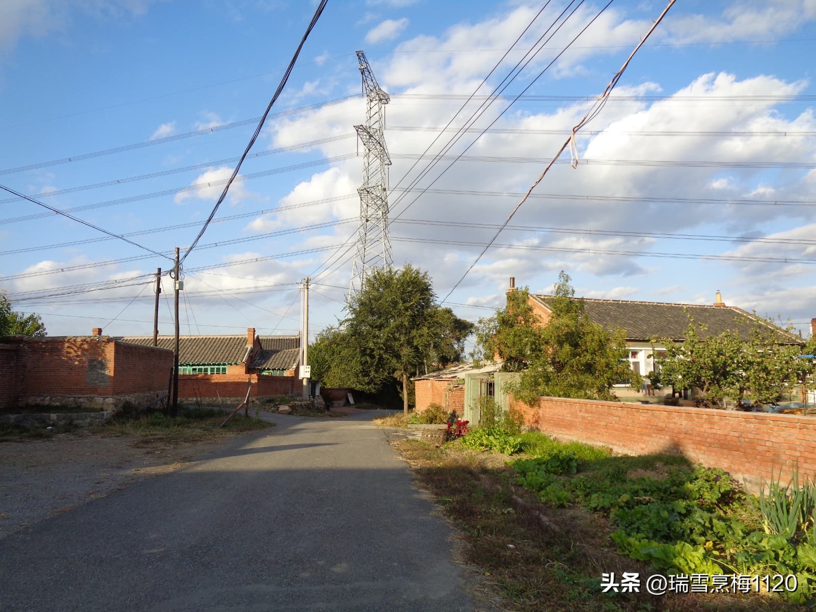 地名档案|旁新线公路沿线村庄之四：沈北新区马刚街道依路村