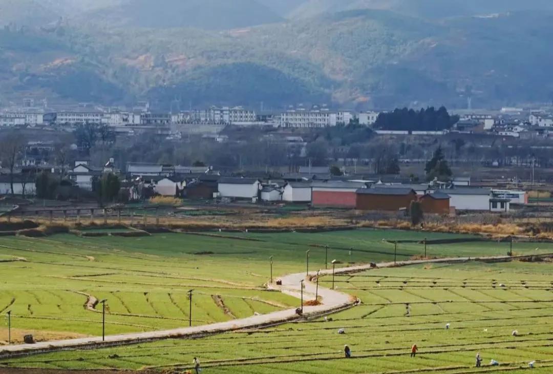 清明踏青不远行,这些宝藏打卡地哪个可以承包你的假期?