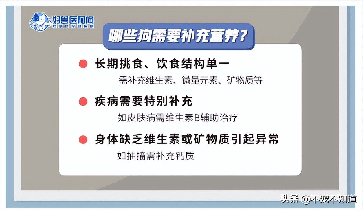 幼犬刚到家怕人怎么办,幼犬太脏不想养了怎么办