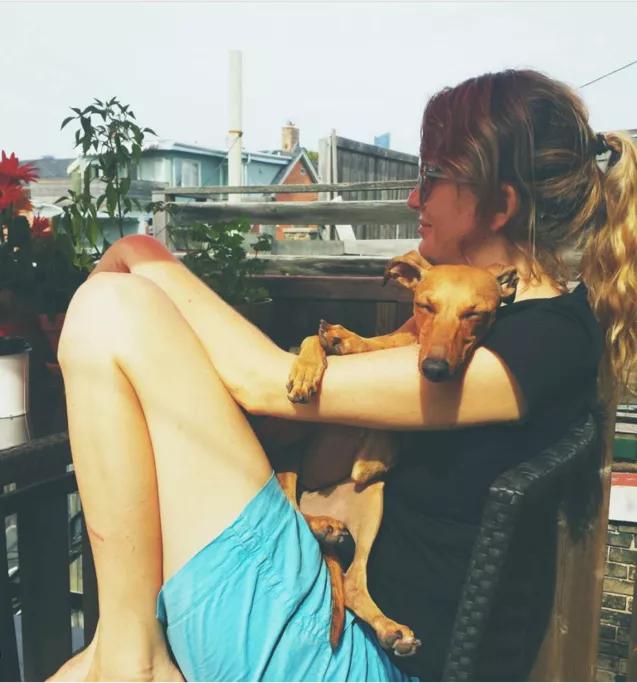 一只被抛弃的小狗逆袭变身超狗,一只被逆袭的中国狗狗